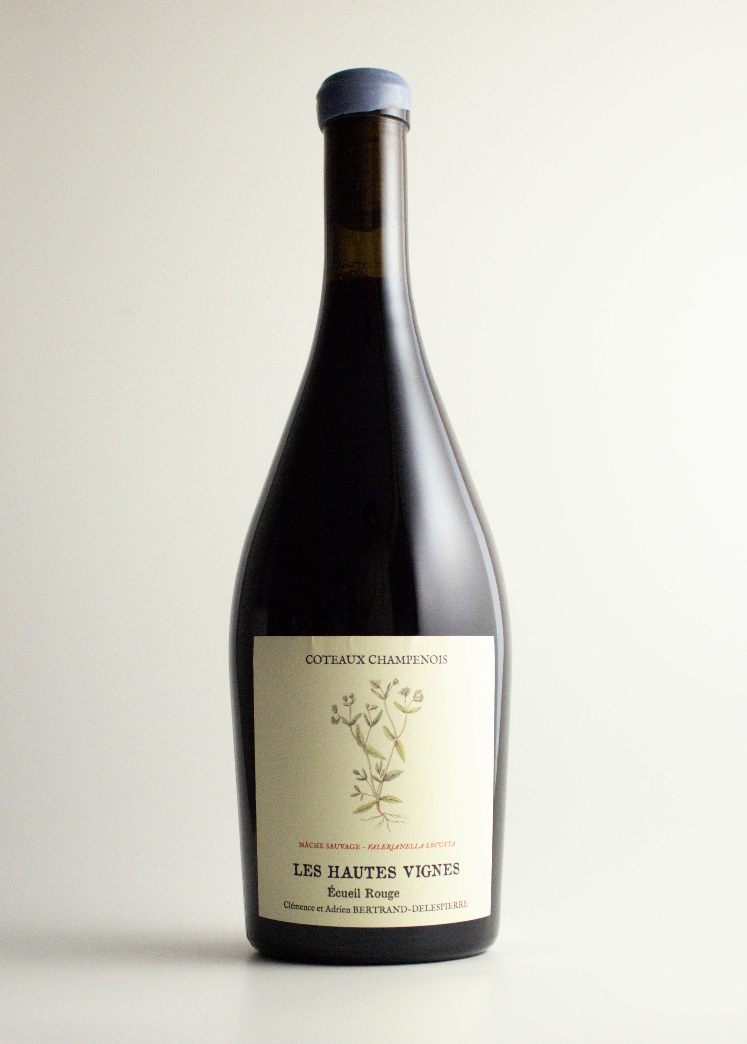 Bertrand-Delespierre Les Hautes Vignes Coteaux Rouge 2016 - Stillwein