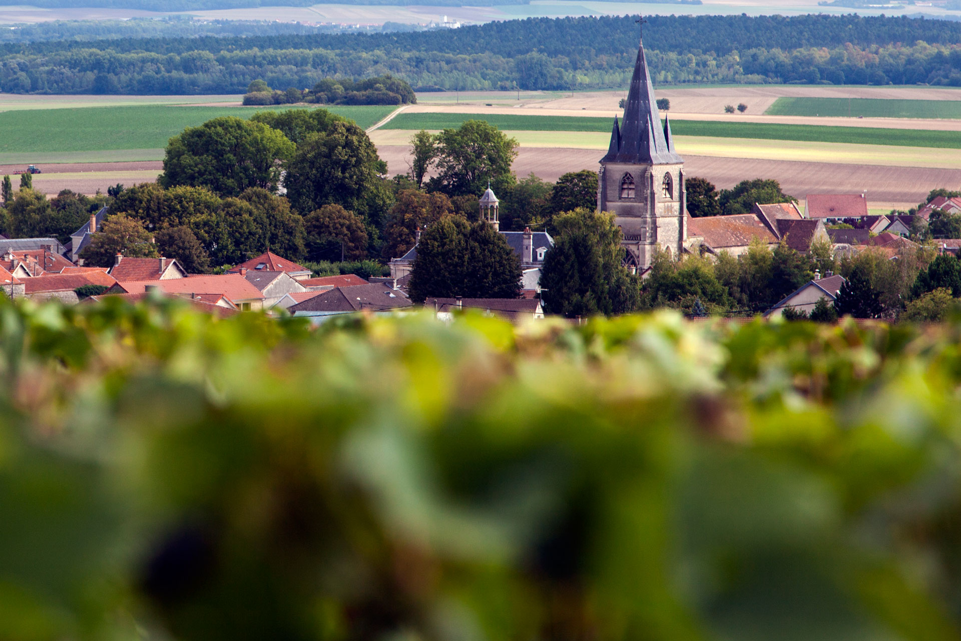 Massif de Saint Thierry