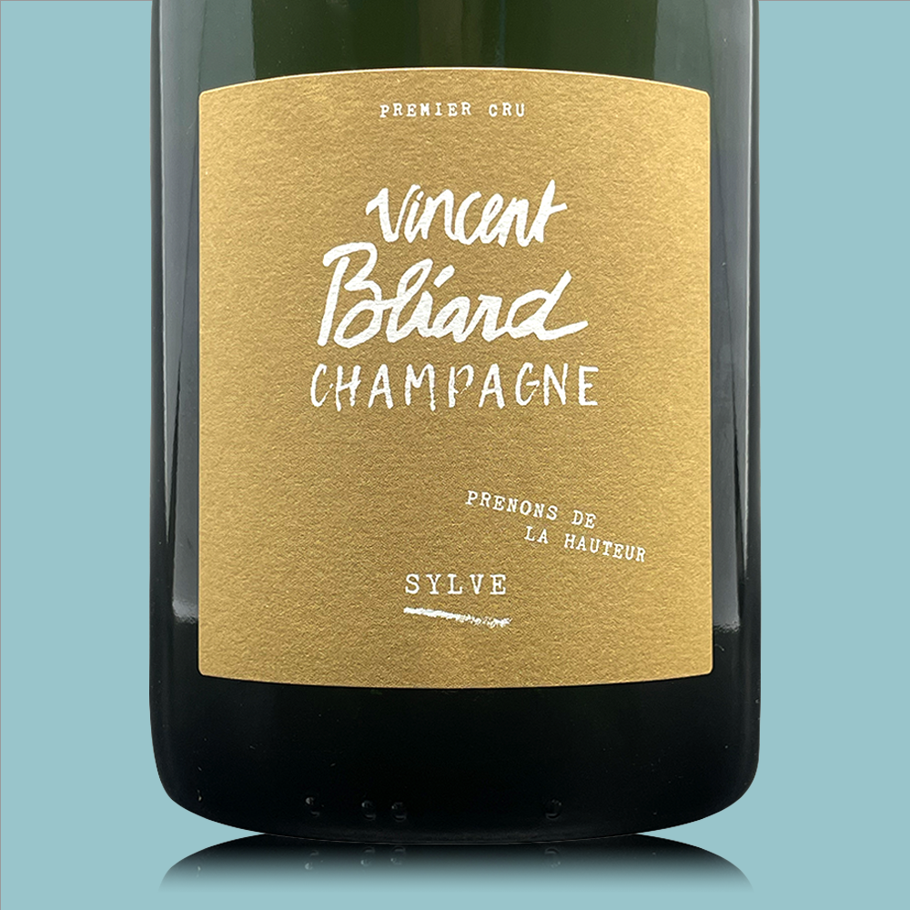 Vincent Bliard Sylve MAGNUM - Bio