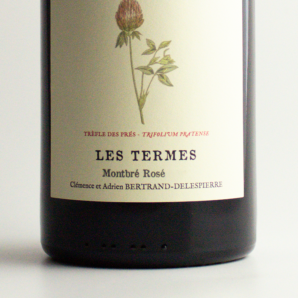 Bertrand-Delespierre Les Termes (Stillwein) Coteaux Rosé 2020