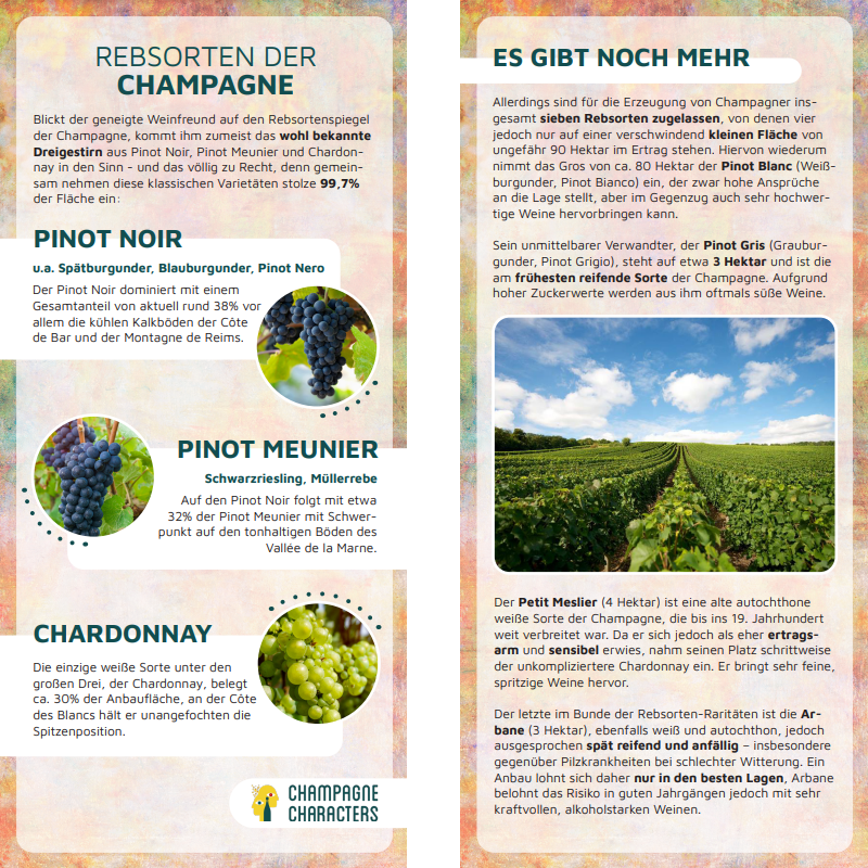 Information Card Grape varieties of Champagne