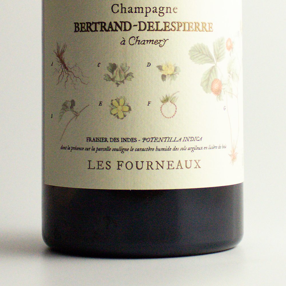 Bertrand-Delespierre Les Fourneaux (Still-wine) Coteaux Blanc 2019