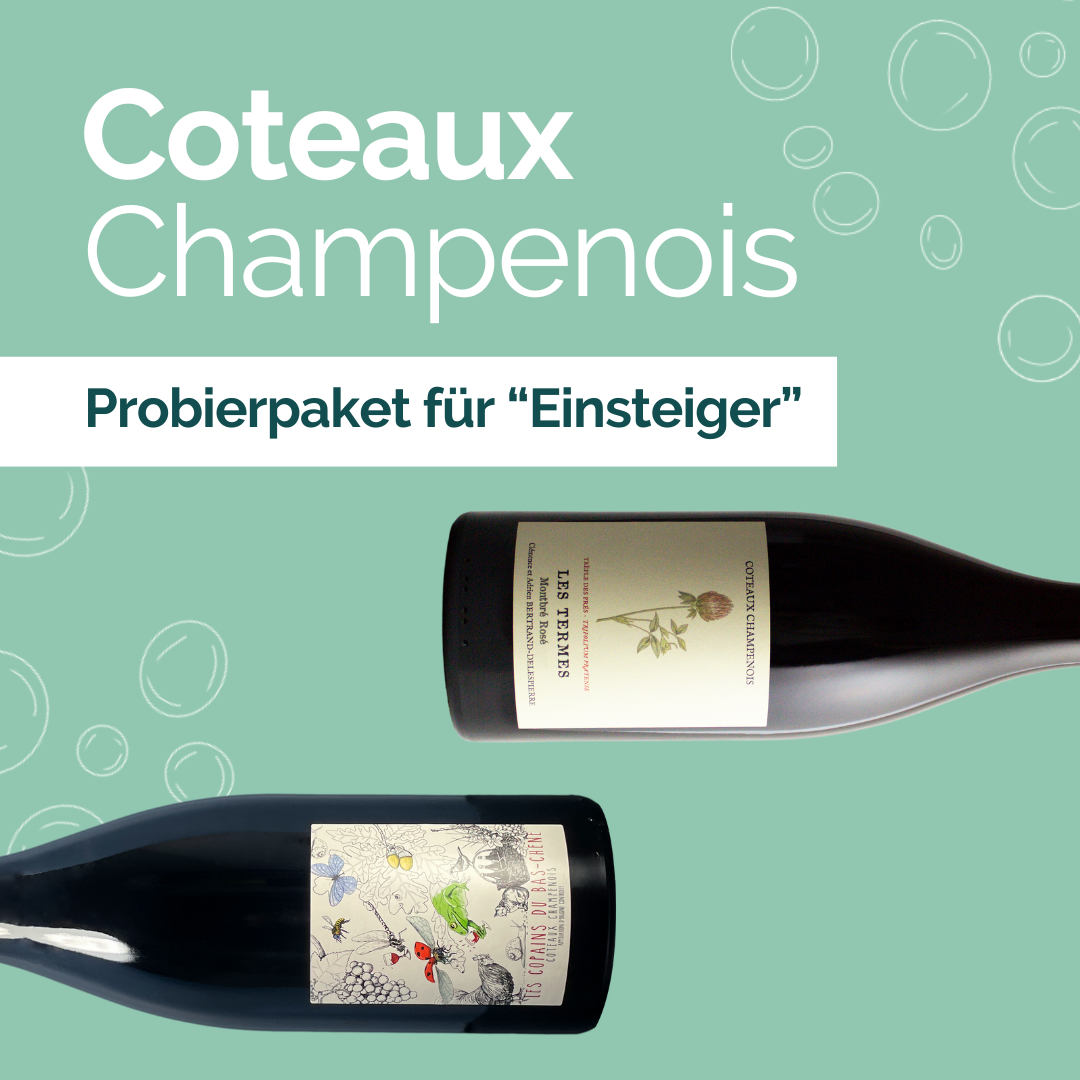 6 bottles Tasting Pack "Coteaux Champenois" - Beginner